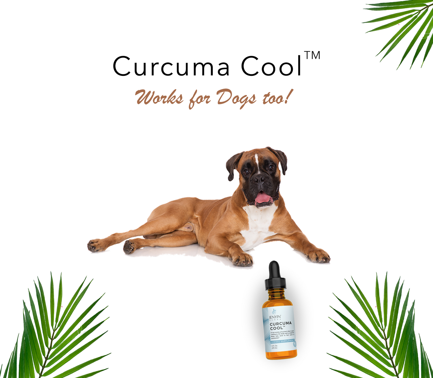 Curcuma Cool™ (Tincture)-A Cooling Variety of Turmeric Serums Herbal