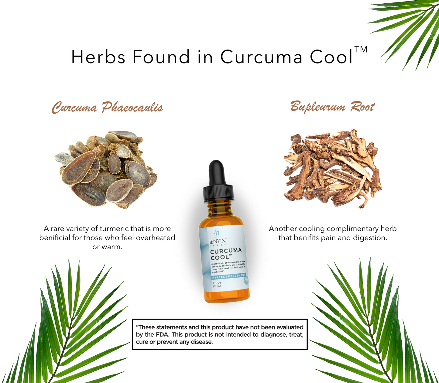 Curcuma Cool™ (Tincture)-A Cooling Variety of Turmeric Serums Herbal